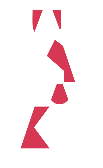funkychunky_logo_multi